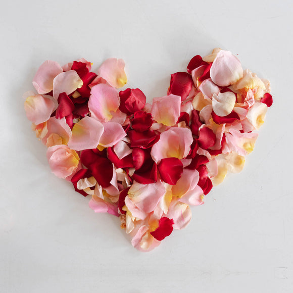Rose Petals in pink and red in a heart shape