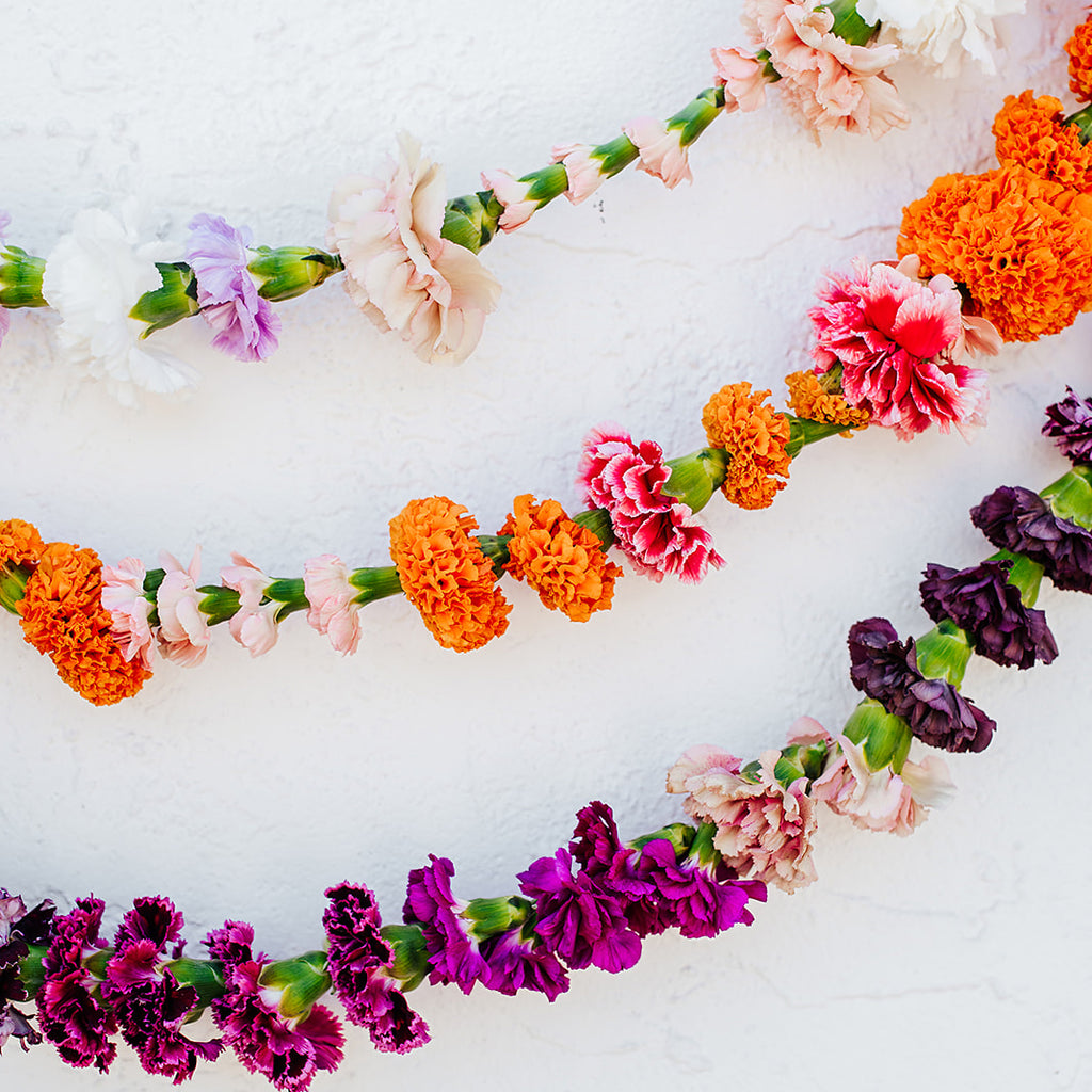 Carnation Garlands Native Poppy