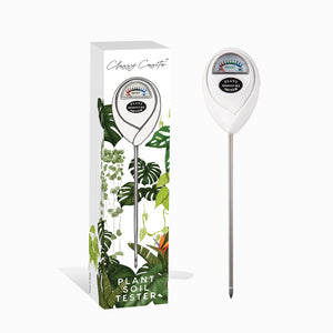 How to Use a Moisture Meter for Your Plants