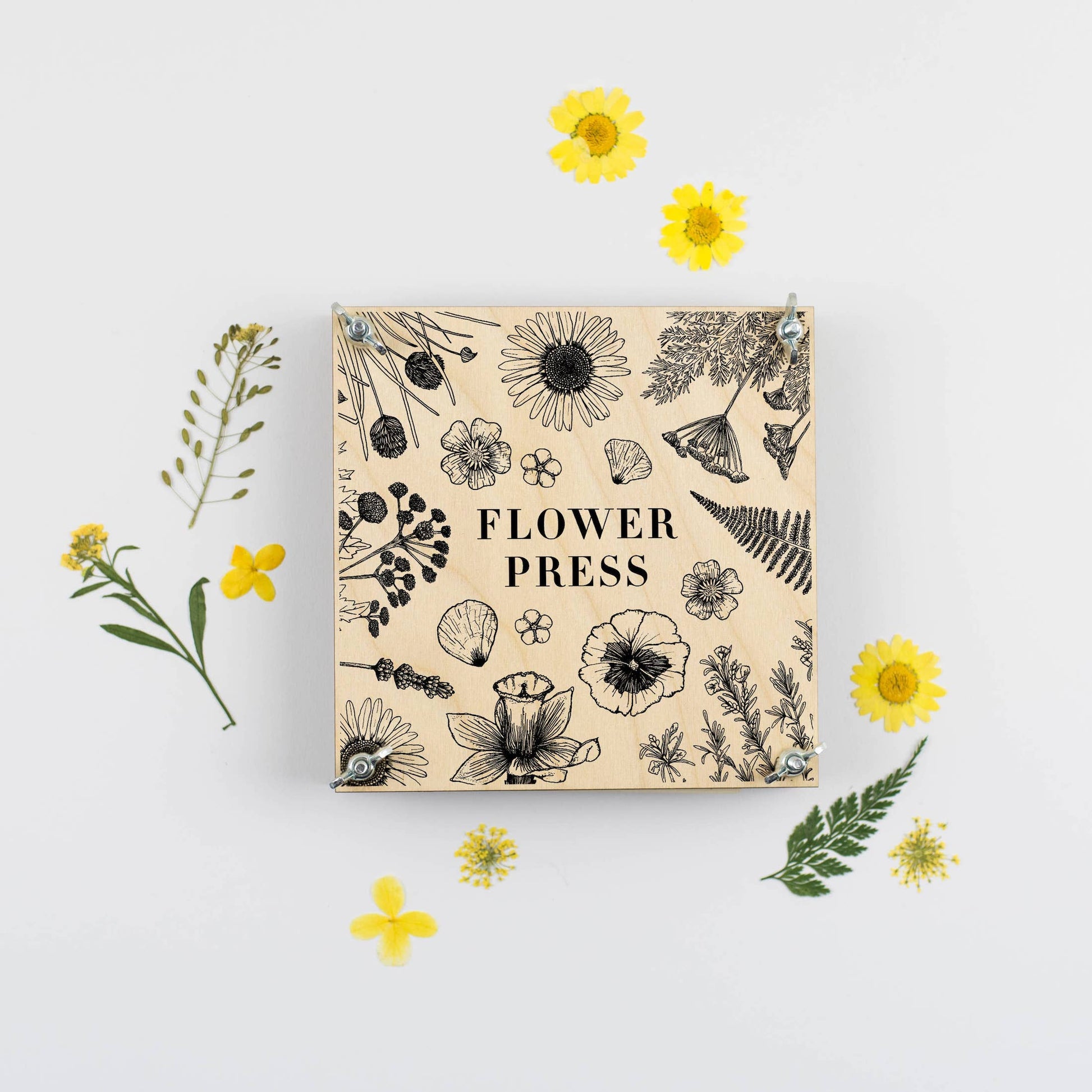 Flower Press DIY Kit with yellow pressed flowers