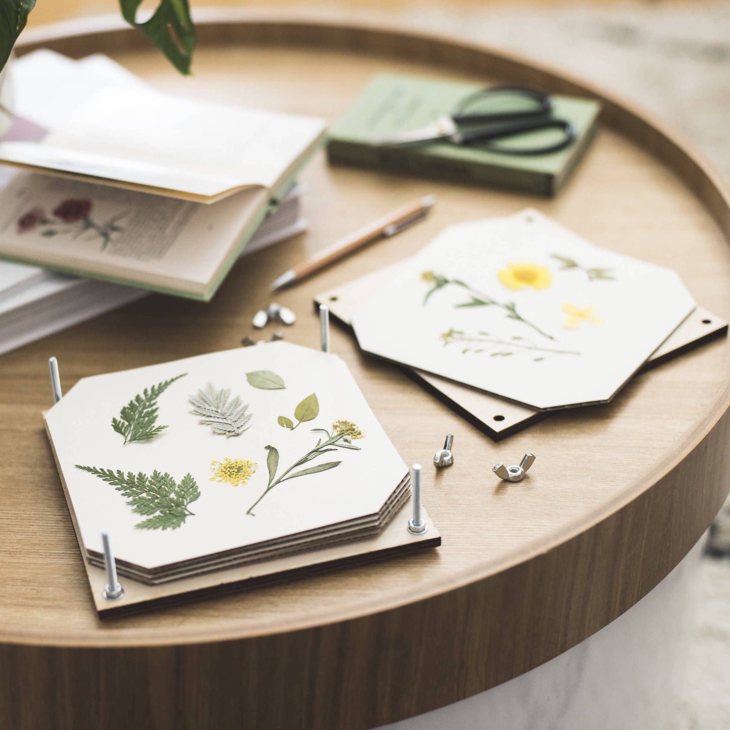 Flower Press DIY Kit with flowers in between paper sheets