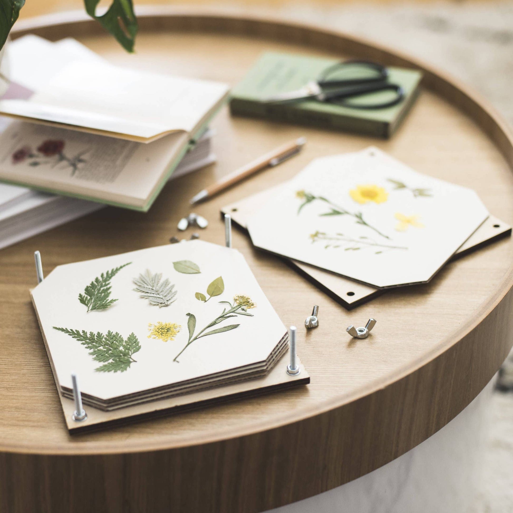 Flower Press DIY Kit with flowers in between paper sheets