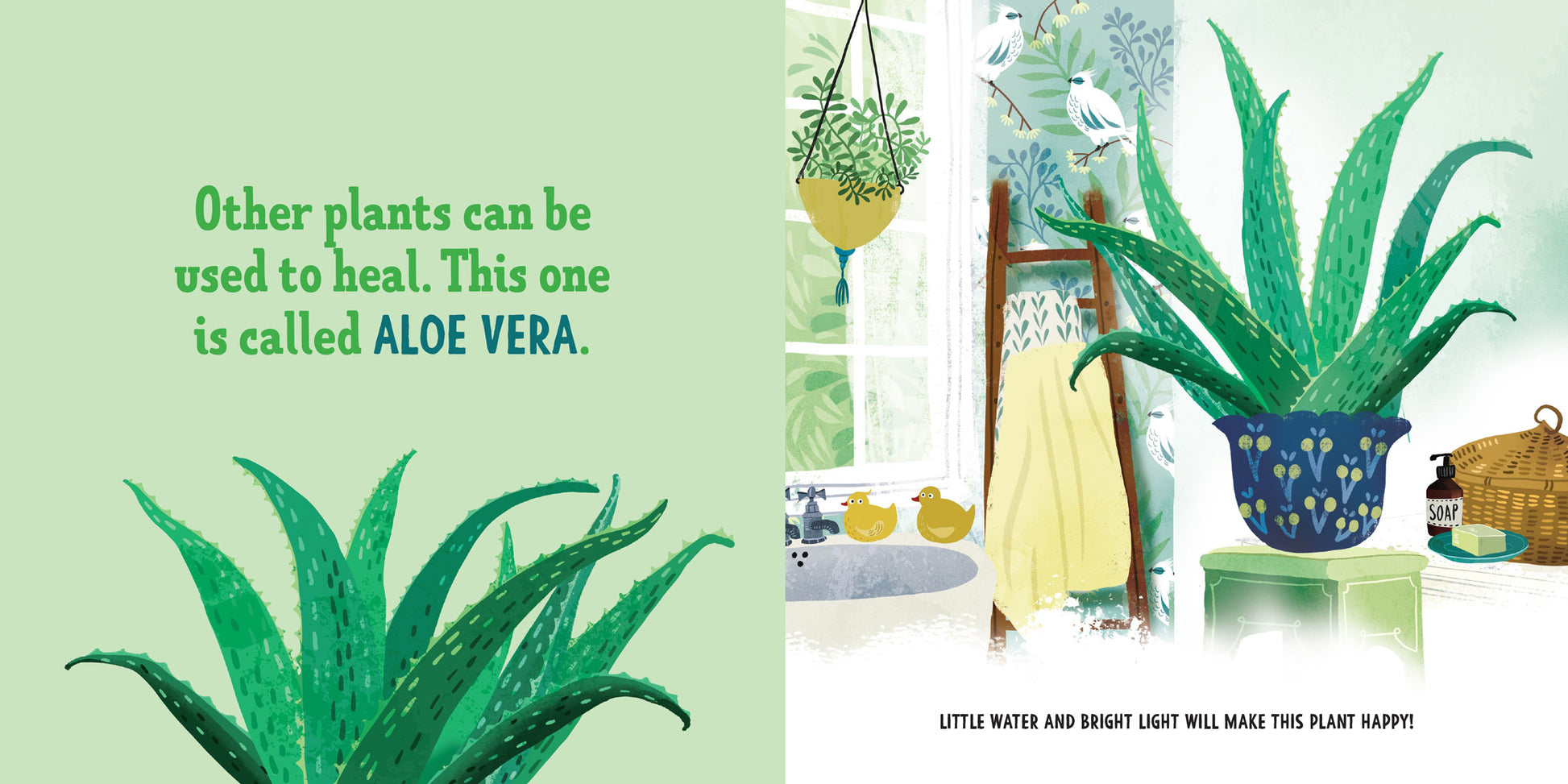 interior pages My First Book of Houseplants