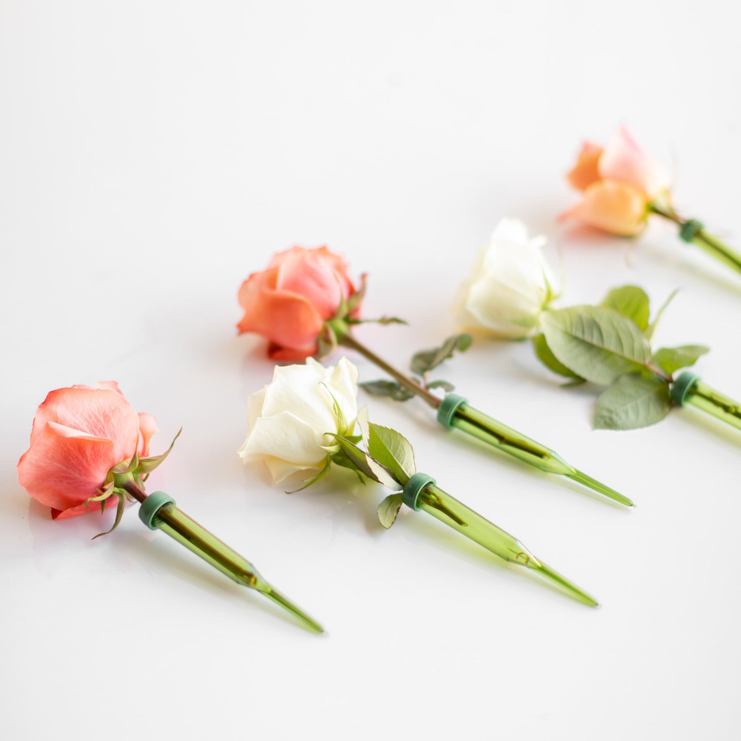Roses preserved in floral tubes to be added to garlands