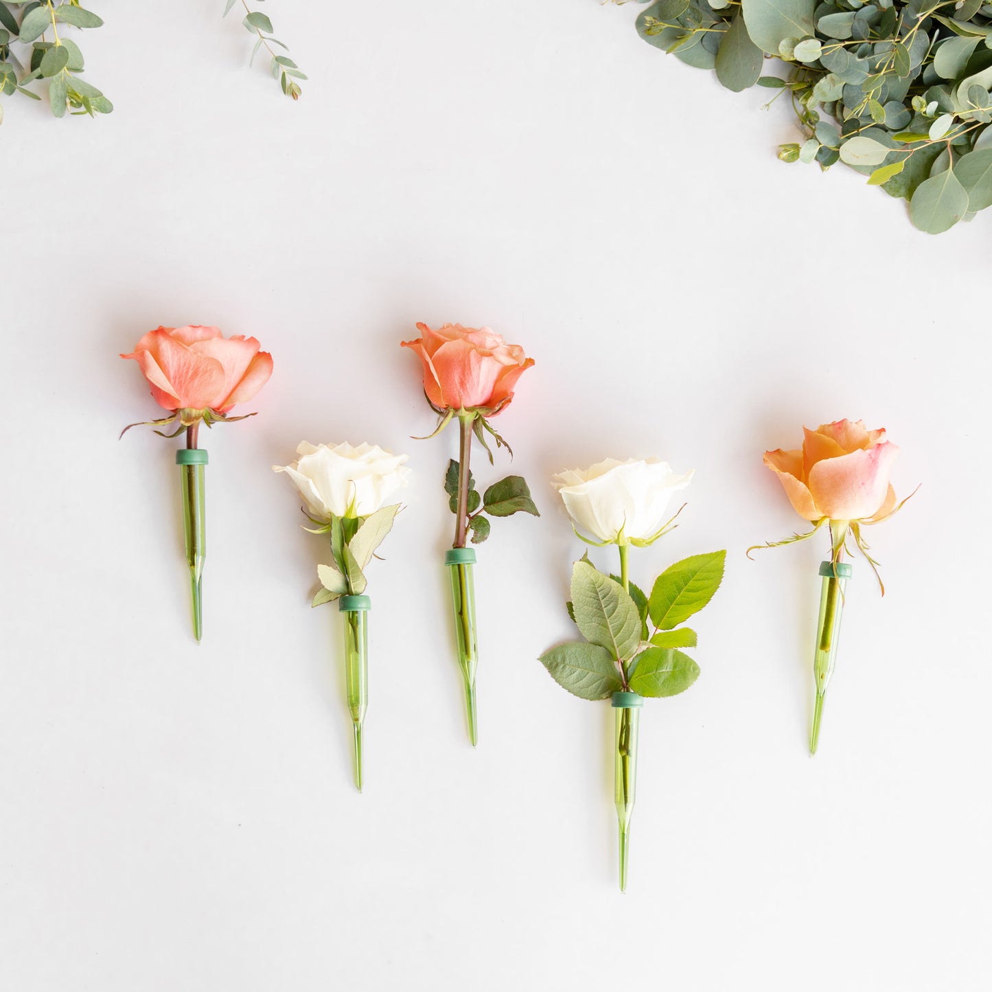 Roses in floral water tubes for use in a garland