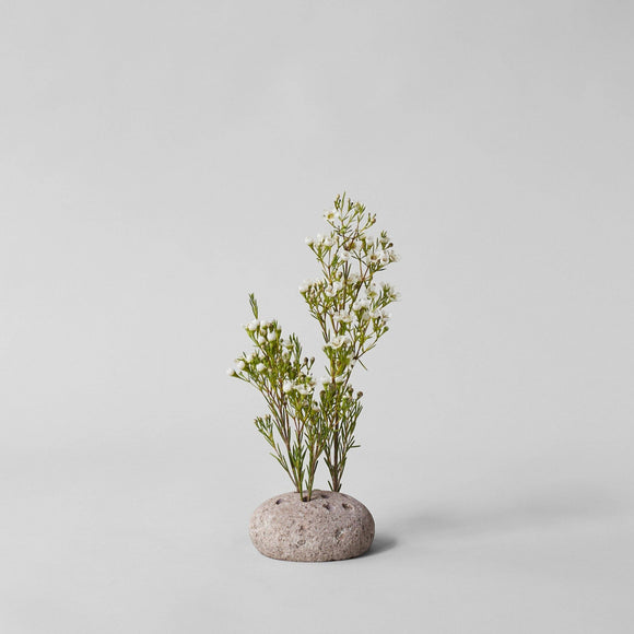 Round Stone Frog | Atuto