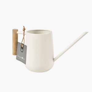 Modern Mini Watering Can