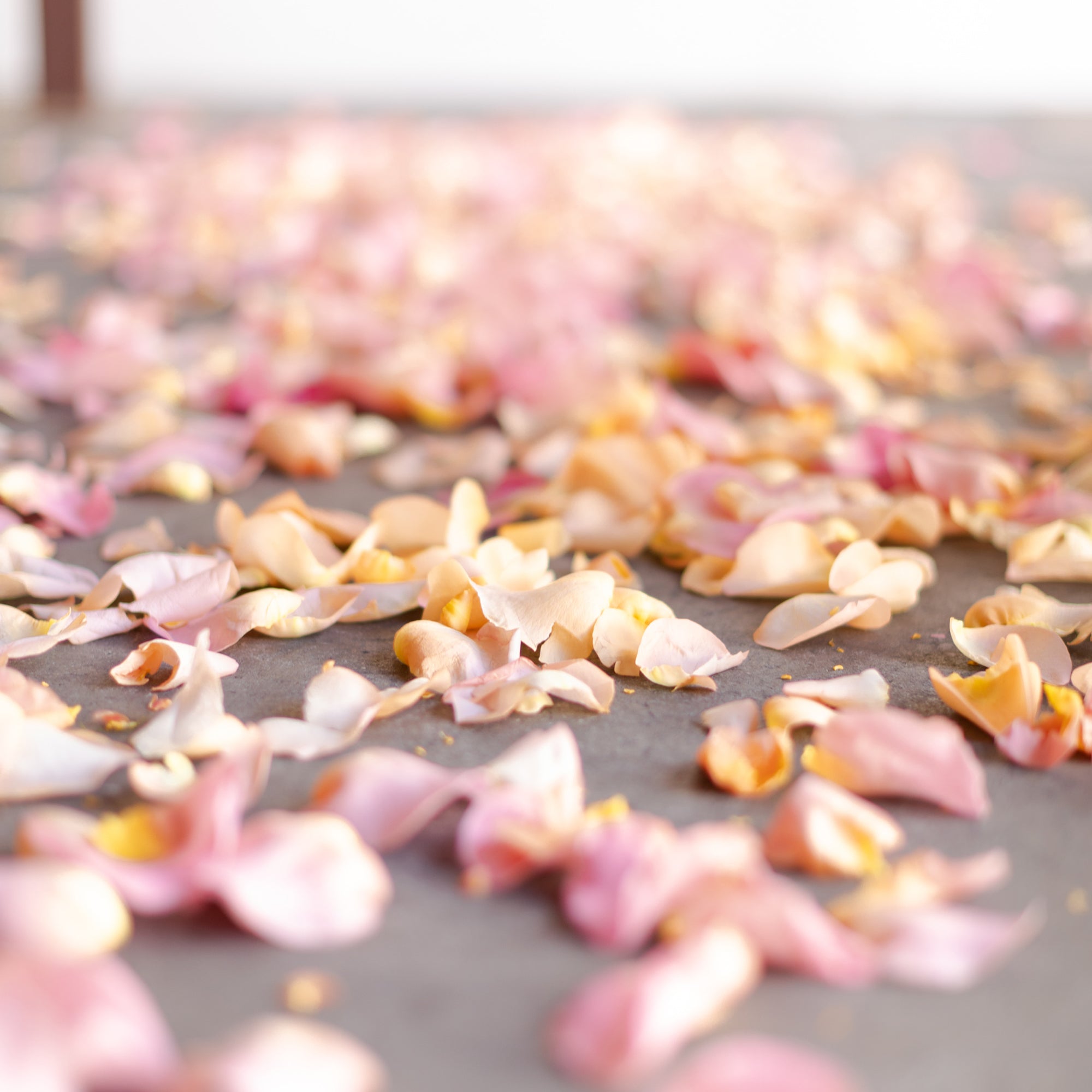 Real rose petals for wedding 60 photos - Vianawedding.com