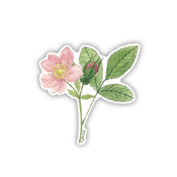 Wild Rose Sticker